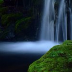 11334683_1421508774843393_1013292785_a