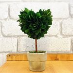 11351644_1483865278574838_1690906296_a