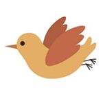 11417286_444403742406839_1732830335_a