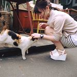 12547174_447090428812973_1213612276_a