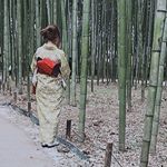 12568846_1078905745463492_550766619_a