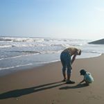 12237206_445392225661597_1254671530_a