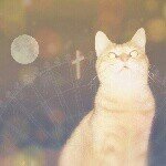 10299748_647245435351068_632992805_a