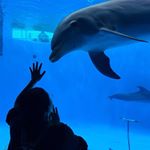 11324477_882124125170872_1790591768_a