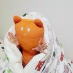 12552441_831555440289427_1786531278_a