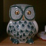 11336015_403248726546161_443972338_a