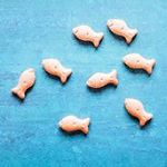 12407432_465745620278085_12576926_a