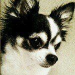 11240348_756252657826494_1246567476_a