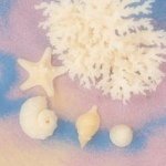 1739675_1460845820844225_1358046441_a