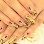 12543303_1652497478338638_2041848437_a