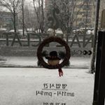 12393847_488351948014278_1593003480_a