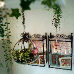 10809918_354115694770020_1726621424_a