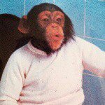 11018485_1572352363044097_1771506966_a