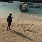 12276912_501732666664753_162719269_a