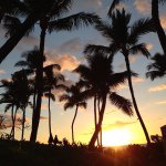 11186980_1573703906231046_223894816_a