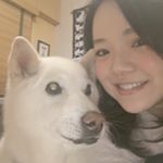 10954812_1501716863464797_963129737_a