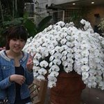 10747915_470277949777662_1188326799_a