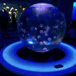 12339014_497102717125346_2038324122_a