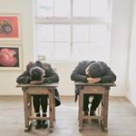 12534611_234090660262257_2201817_a