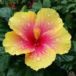 11007751_787399611348619_1930472927_a