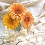 12677254_969629349769497_1730032752_a