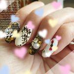 12142598_539880439515454_80634178_a