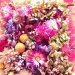 11005075_785361751542170_1557303411_a