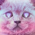 11375783_899179623510224_476004080_a