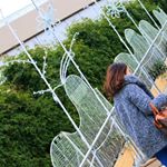 12599102_523233917850261_1926646064_a