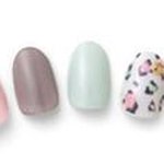 12519146_1636179653311262_1850235935_a