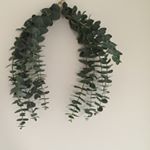 12331886_785878071539127_385550547_a