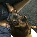 12301261_1713135805585222_1633961967_a