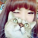 12599260_182342675460094_1294440688_a