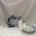 11910005_158388657846416_1327231594_a