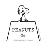 11821129_1500415230257347_158108019_a