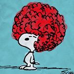 12716521_1687976981480126_1028252248_a