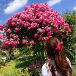 10891003_785330481537610_324921798_a