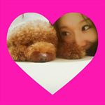 11363679_728050323970362_470923300_a