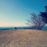 10963996_1403245486643301_956164449_a