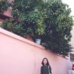 12338663_1637438423182679_1670486045_a