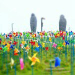 10624230_711653338908217_112972886_a