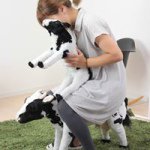 914800_296595737191828_661244215_a