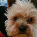 11326815_471012093065898_988574813_a