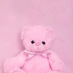 12383606_1734082023502960_1456037094_a