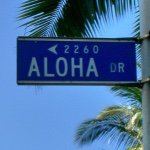 11337152_1686137281605702_895218553_a