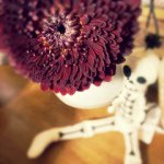 10748082_732747216774120_1637141762_a