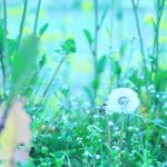 10598377_726924180756342_826201896_a