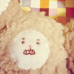 10809975_307327509471384_1056333914_a