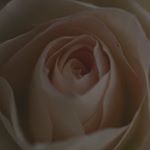 12545259_946534908762919_1509816646_a