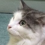 12534388_502874429884438_1854596220_a